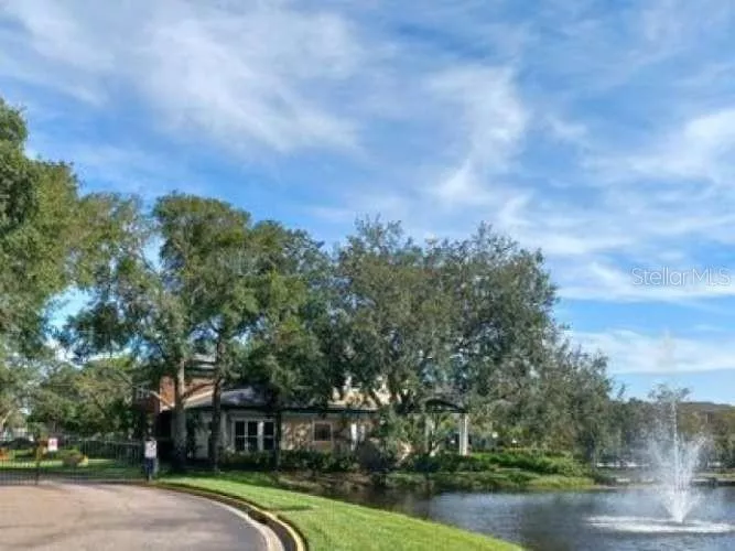 TAMPA