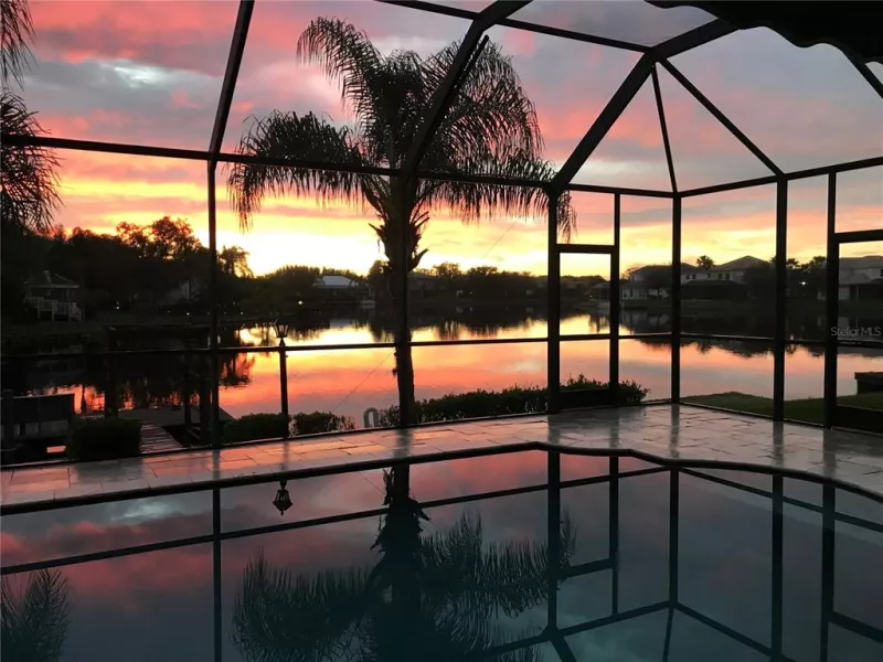 TAMPA