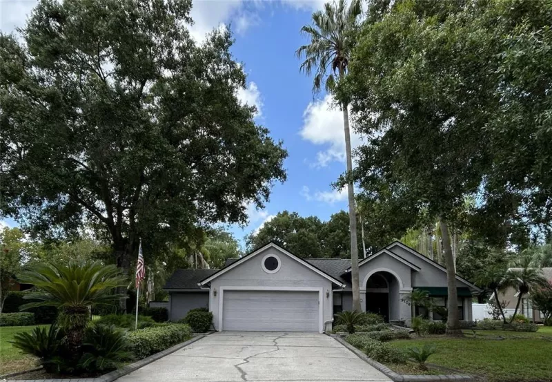 TAMPA