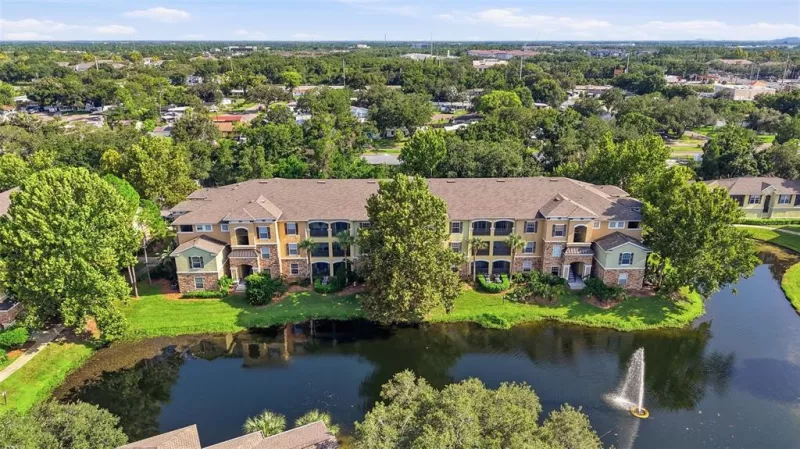 TAMPA