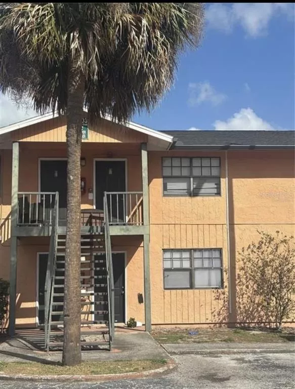 TAMPA