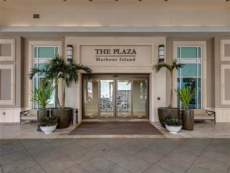 TAMPA