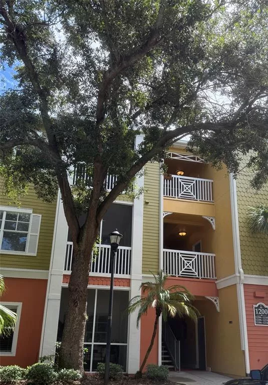 TAMPA