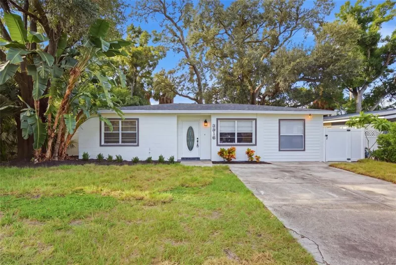 TAMPA