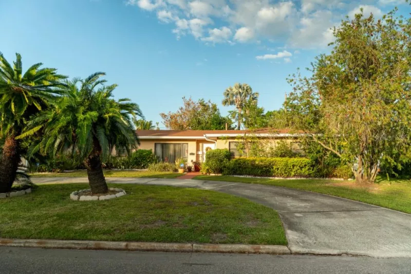 TAMPA