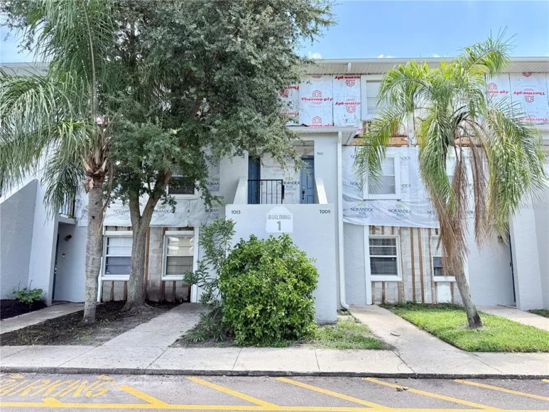 TAMPA