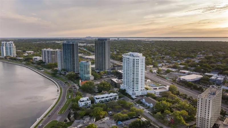 TAMPA