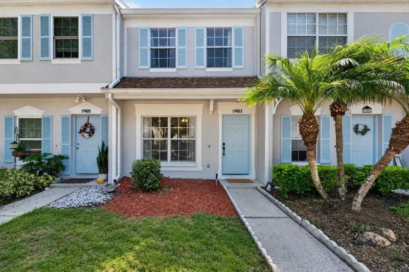 TAMPA