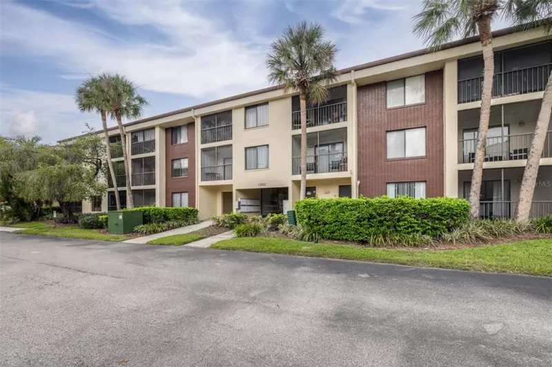 TAMPA