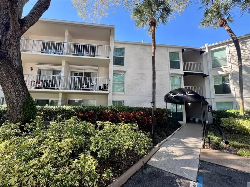 TAMPA