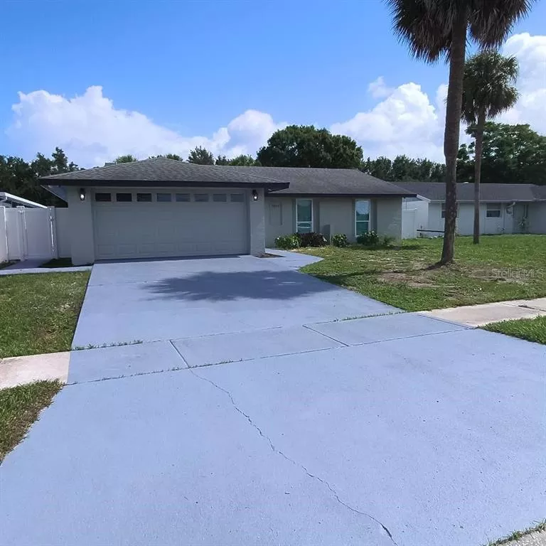 TAMPA