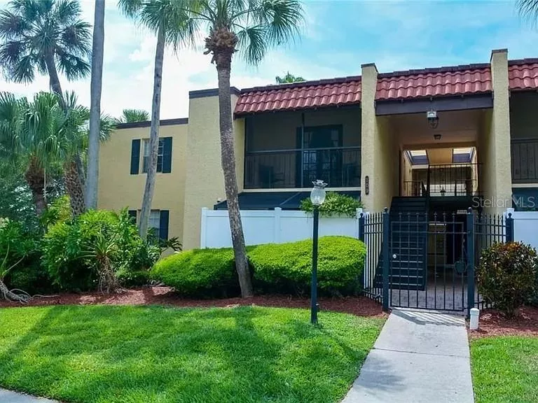 TAMPA