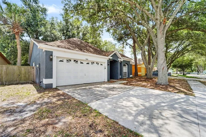 TAMPA