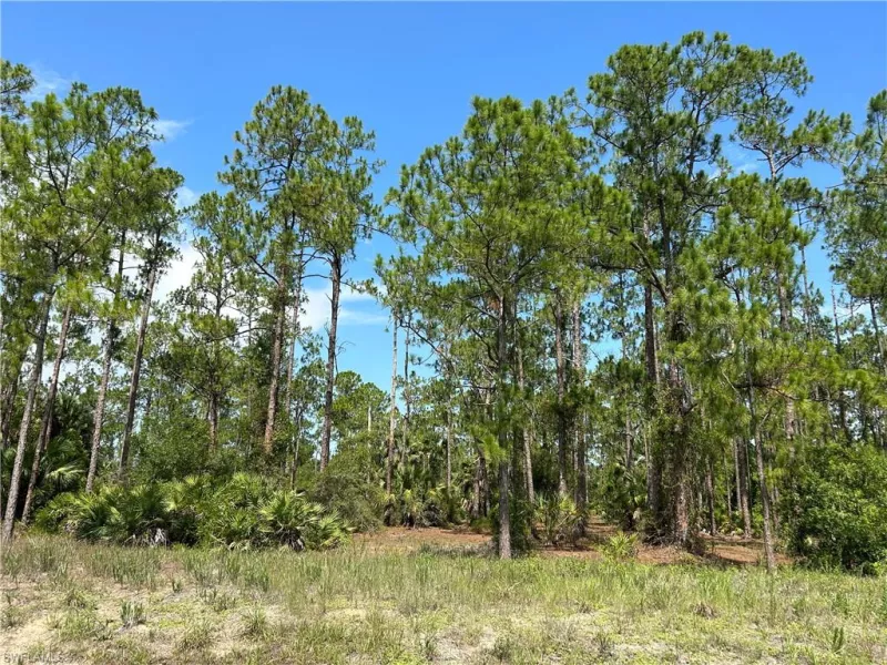 LEHIGH ACRES