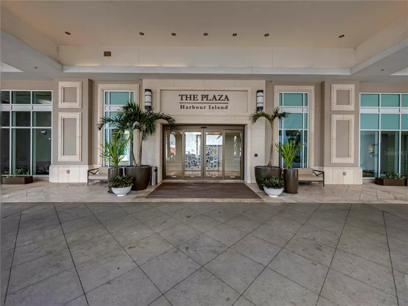 TAMPA