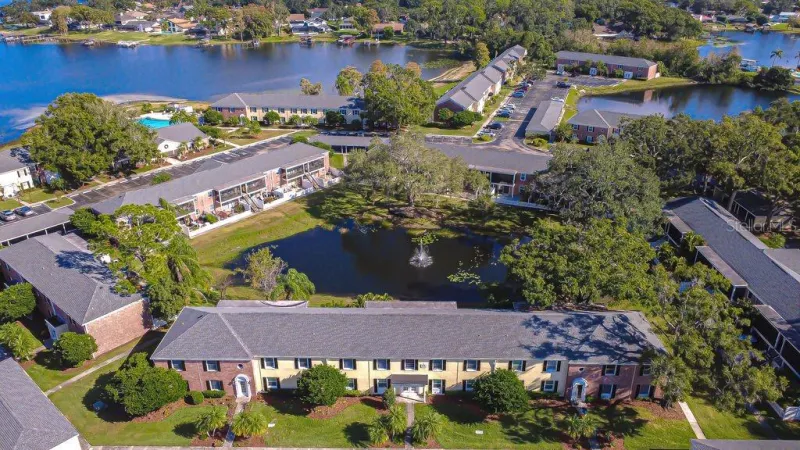 TAMPA