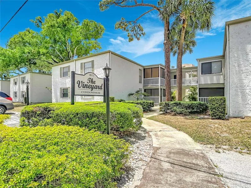 TAMPA