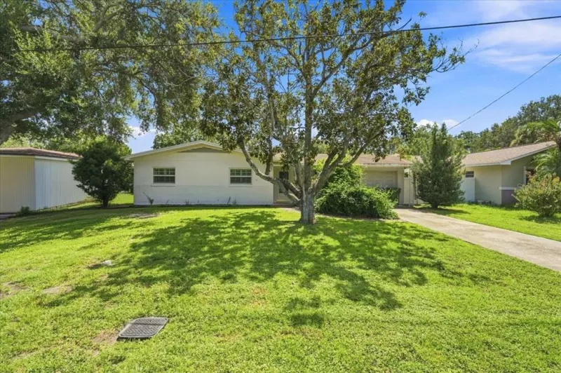 TAMPA