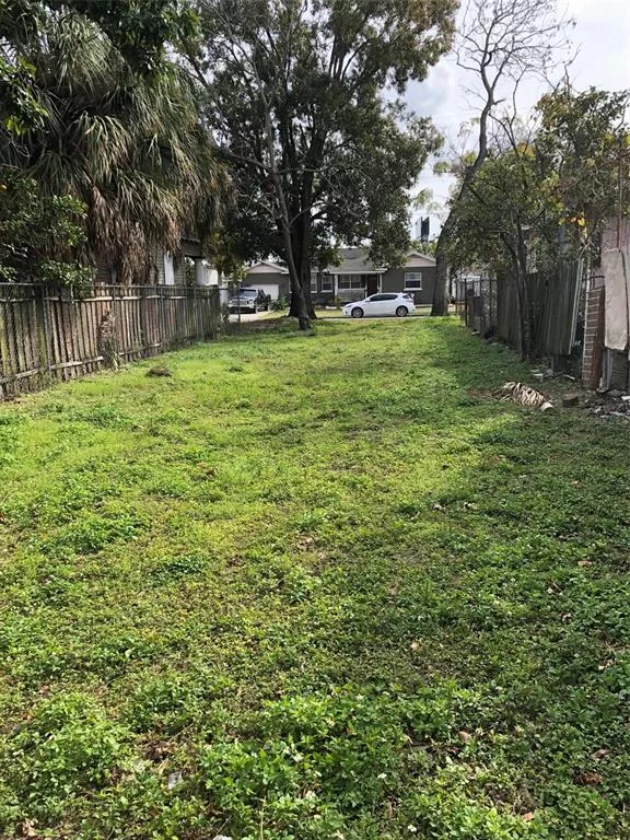 TAMPA