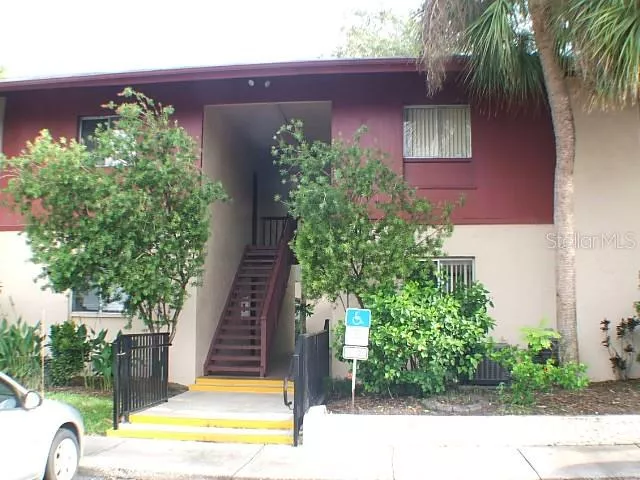 TAMPA