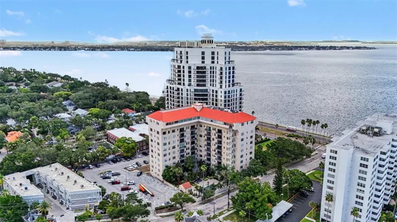 TAMPA