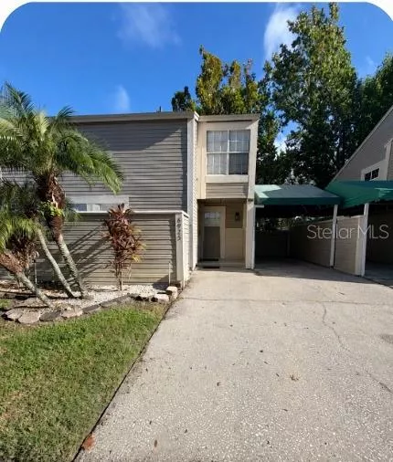 TAMPA