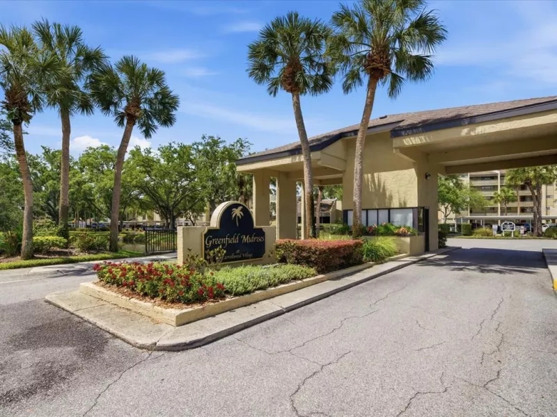 TAMPA