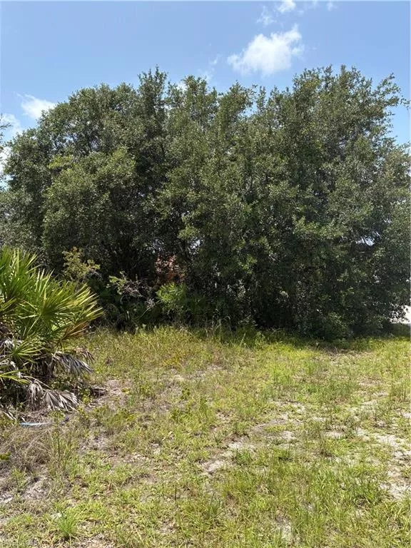 LEHIGH ACRES