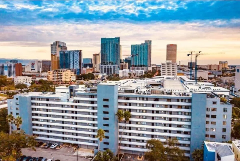 TAMPA