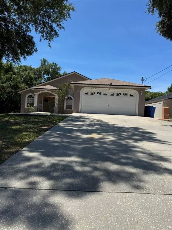 TAMPA