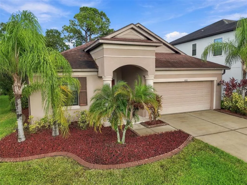 TAMPA