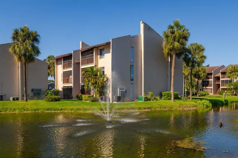 TAMPA