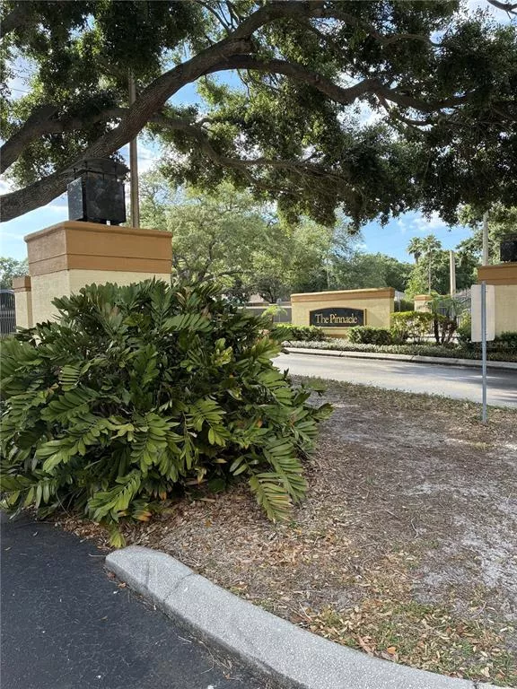 TAMPA