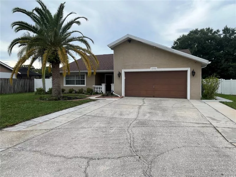 TAMPA