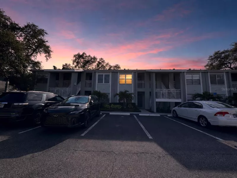 TAMPA