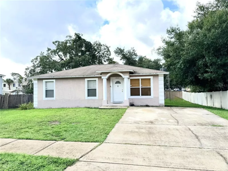 TAMPA