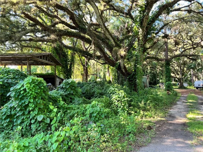 IMMOKALEE