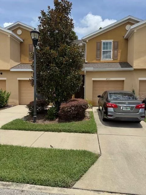 TAMPA
