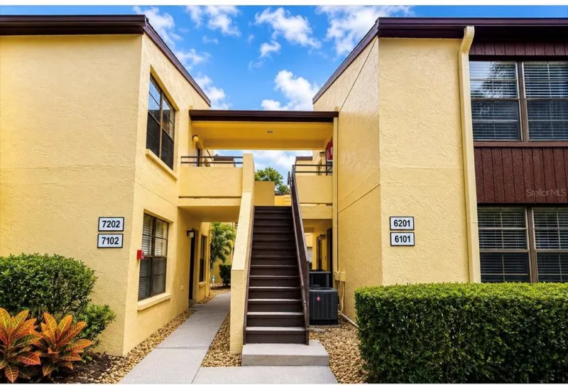 TAMPA