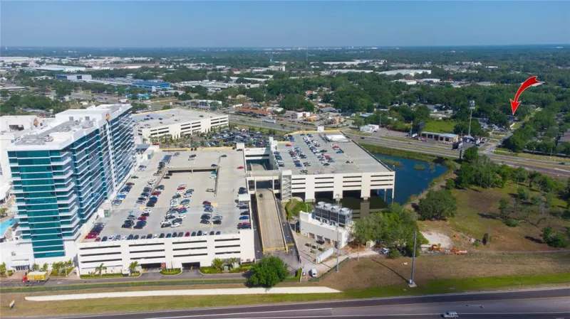 TAMPA