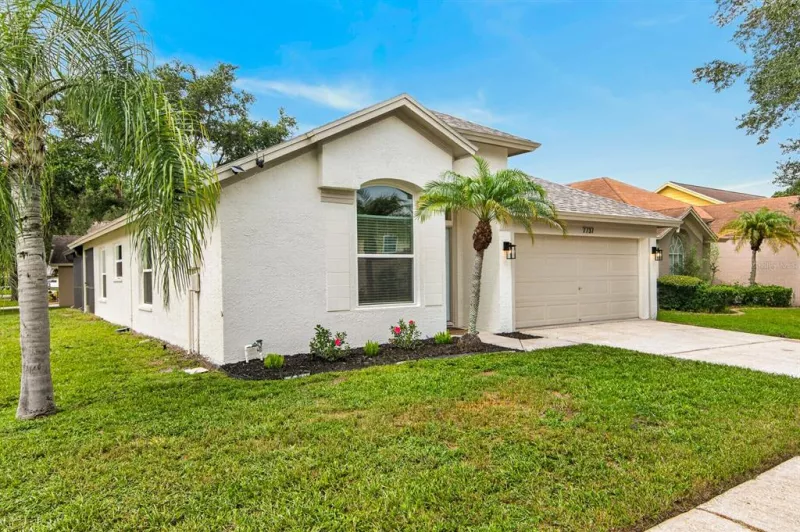 TAMPA