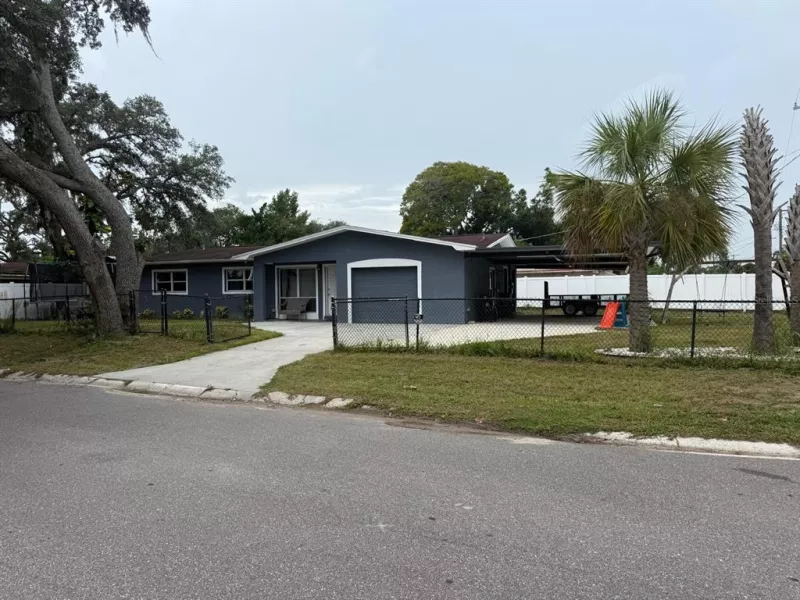 TAMPA